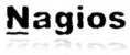 www.nagios.org